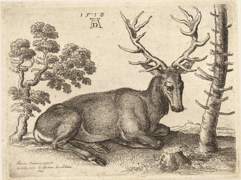 Hollar_k_1999_0001-1-0.jpg