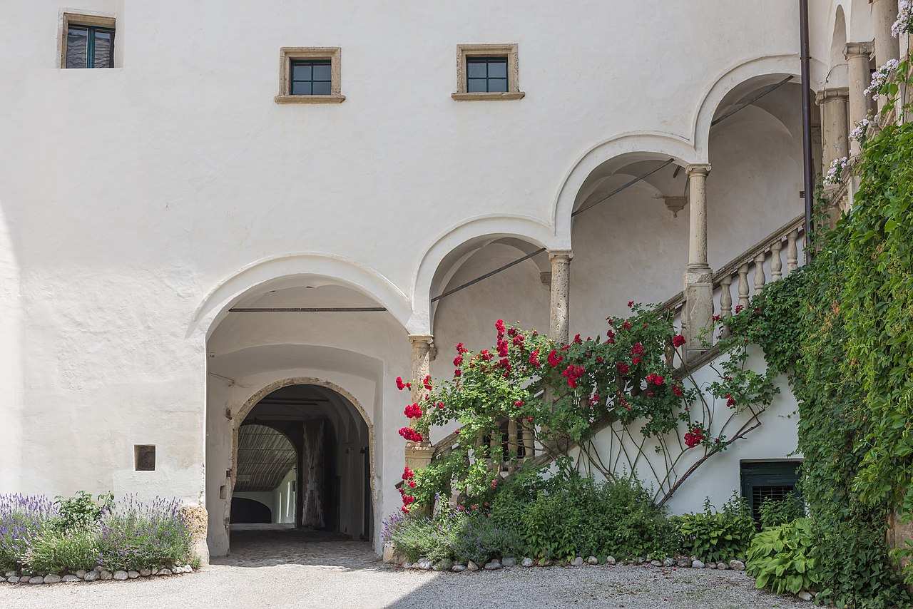 Hollenburg_Burganlage_Arkadenhof_Treppe_18062015_4961.jpg