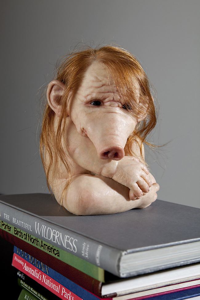 hyperrealistic-sculptures-by-patricia-piccinini-02.jpg