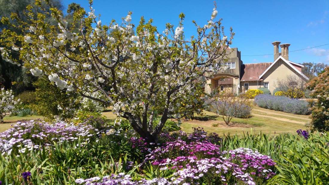 Iandra-castle-gardens-1-1100x619.jpg