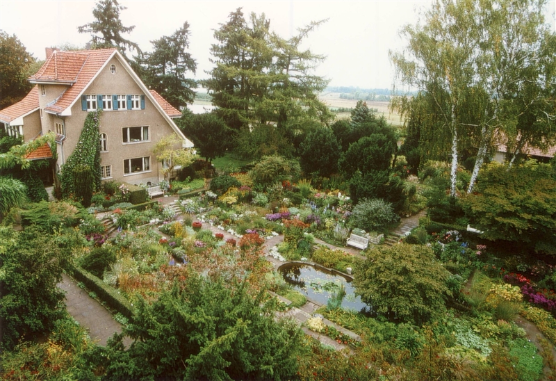 ID5990_16.jpg