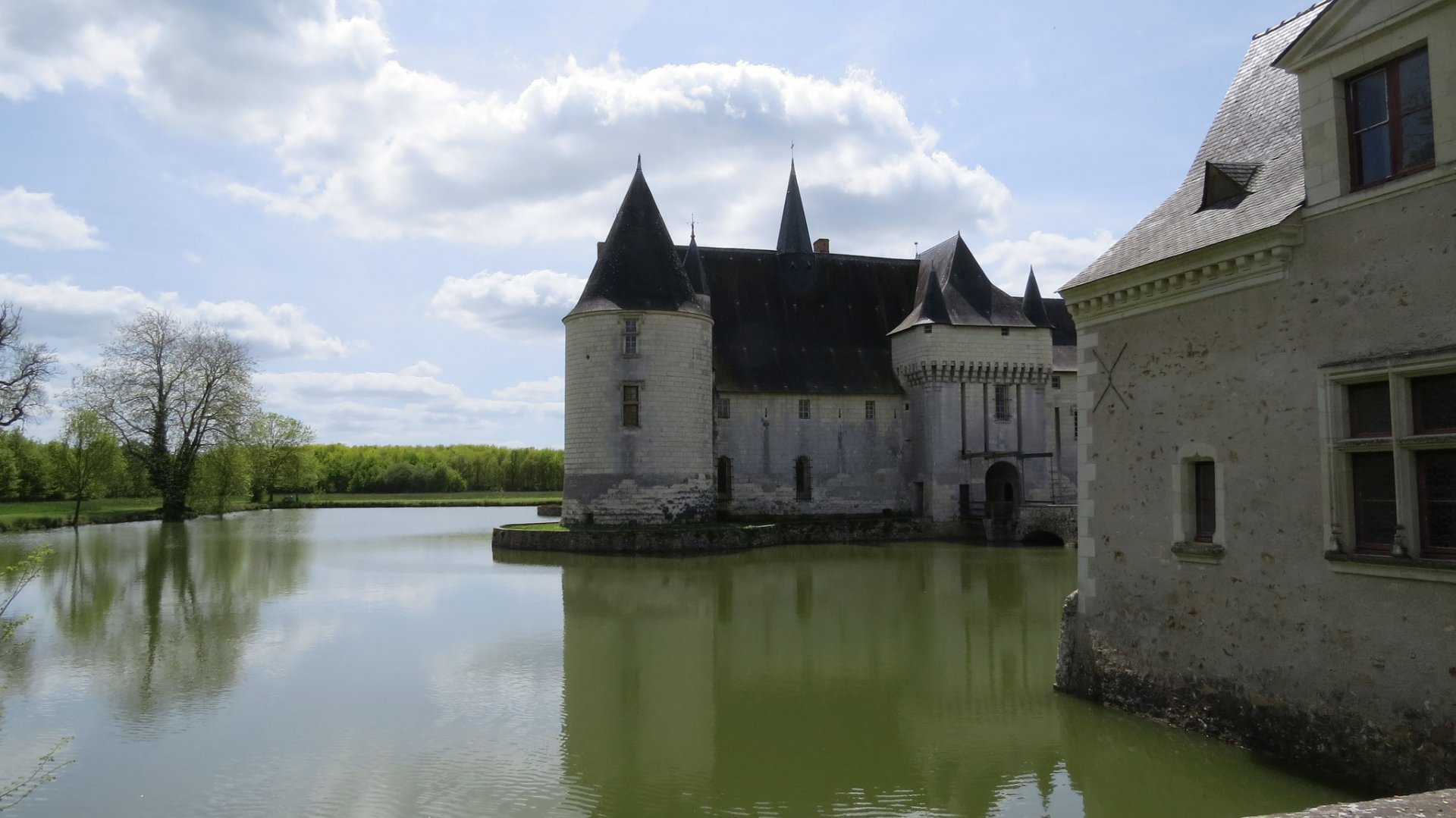 image (1).jpg