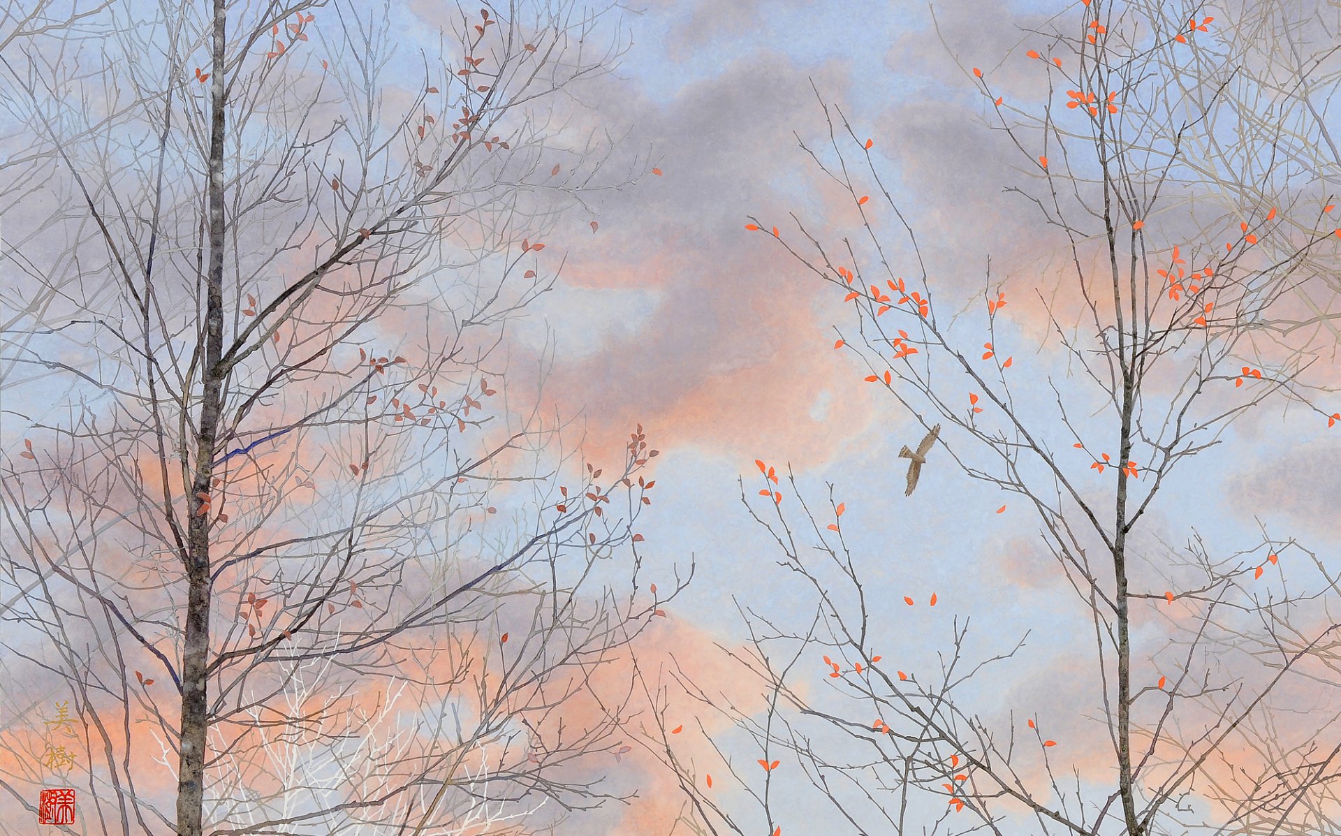 image-5.jpg