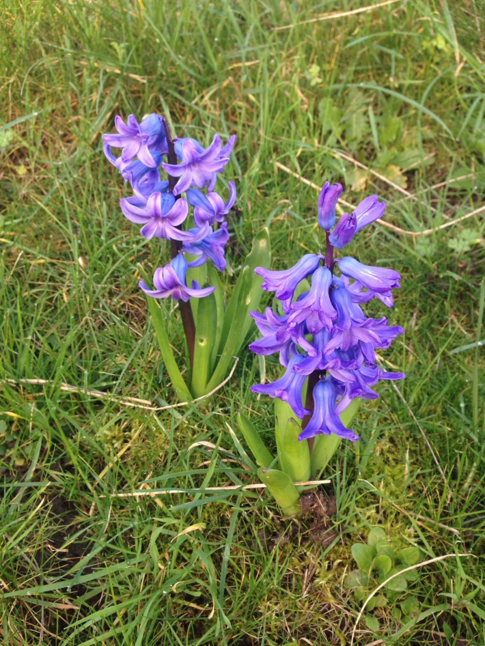IMG-20190301-WA0007.jpg