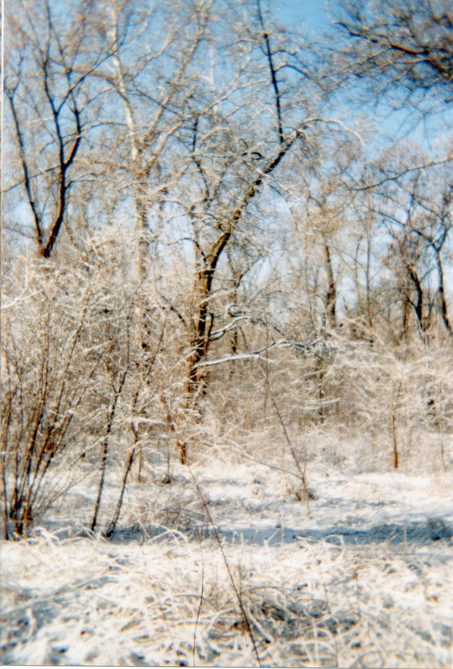 img022.jpg
