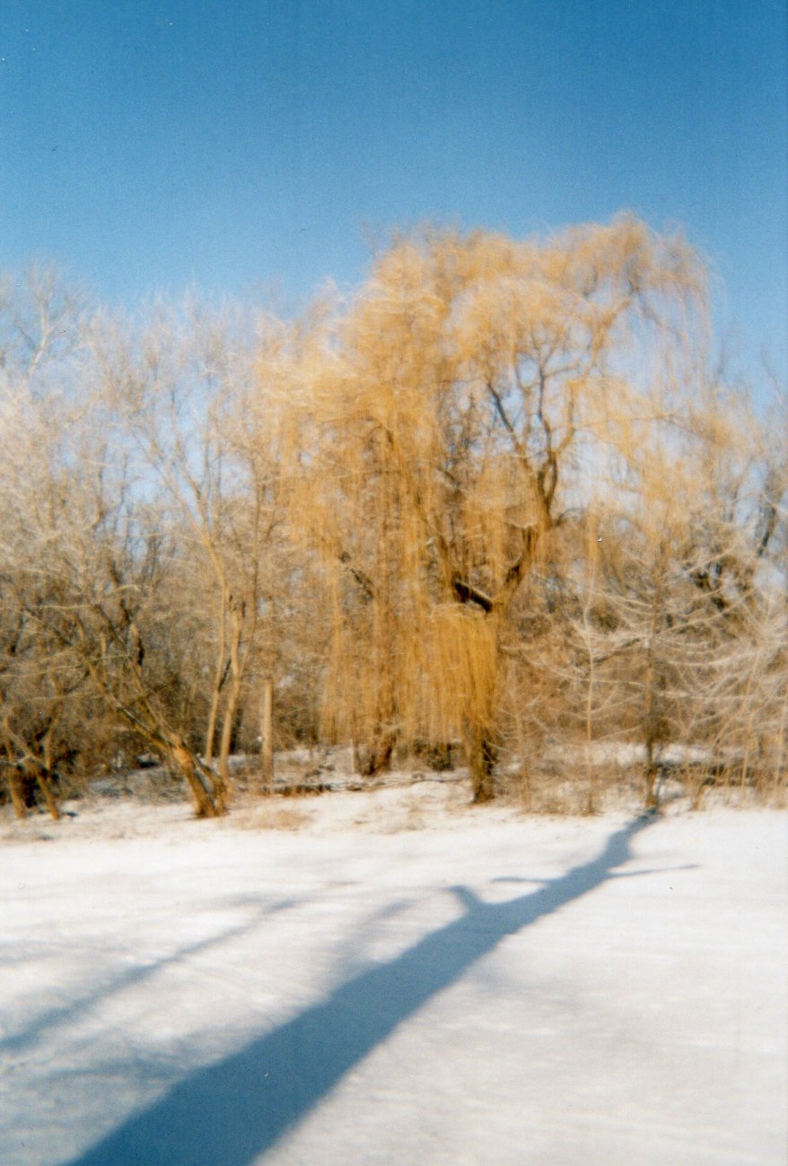 img024.jpg