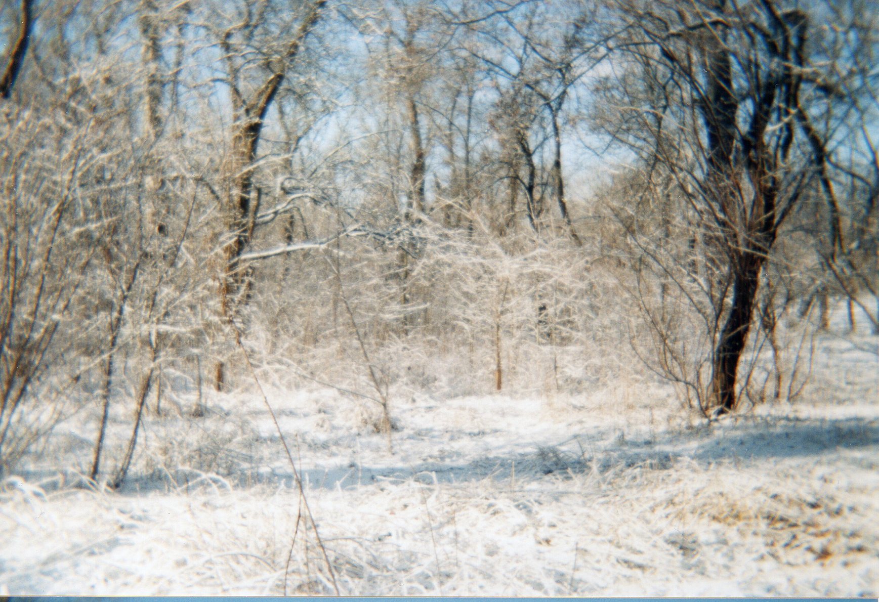 img025.jpg