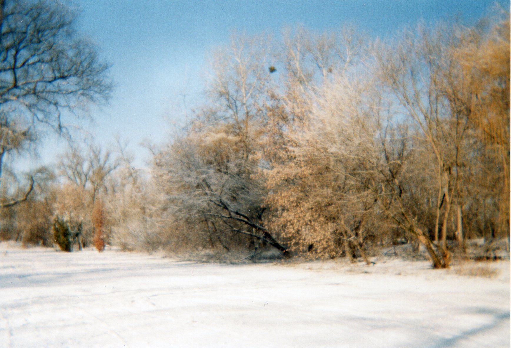 img026.jpg