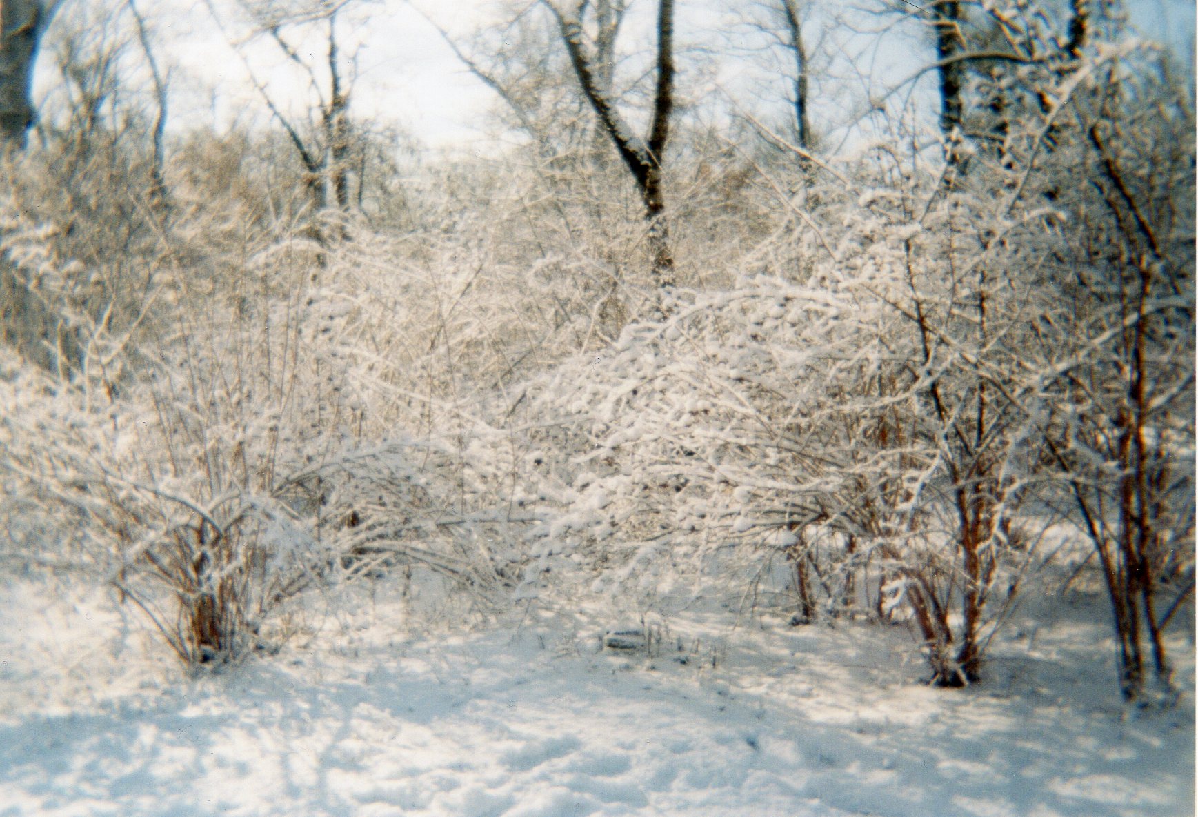 img027.jpg