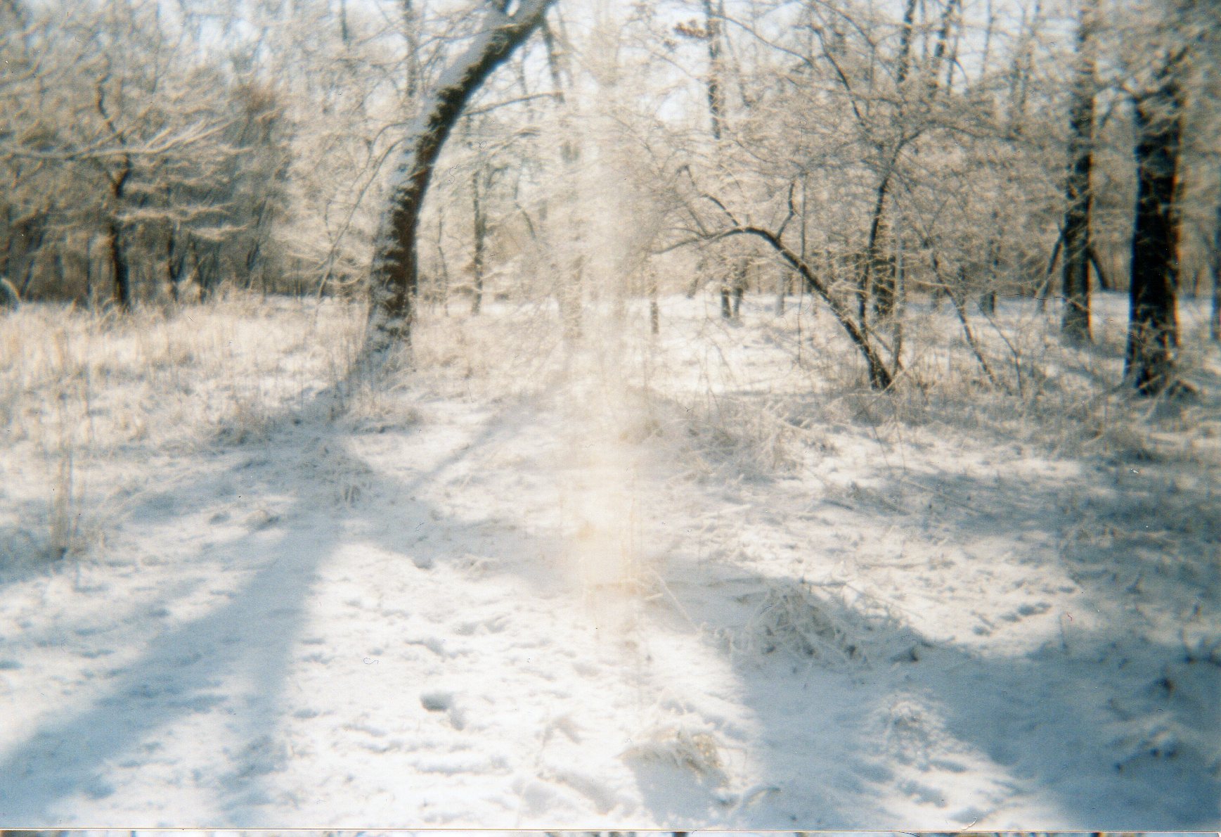 img028.jpg