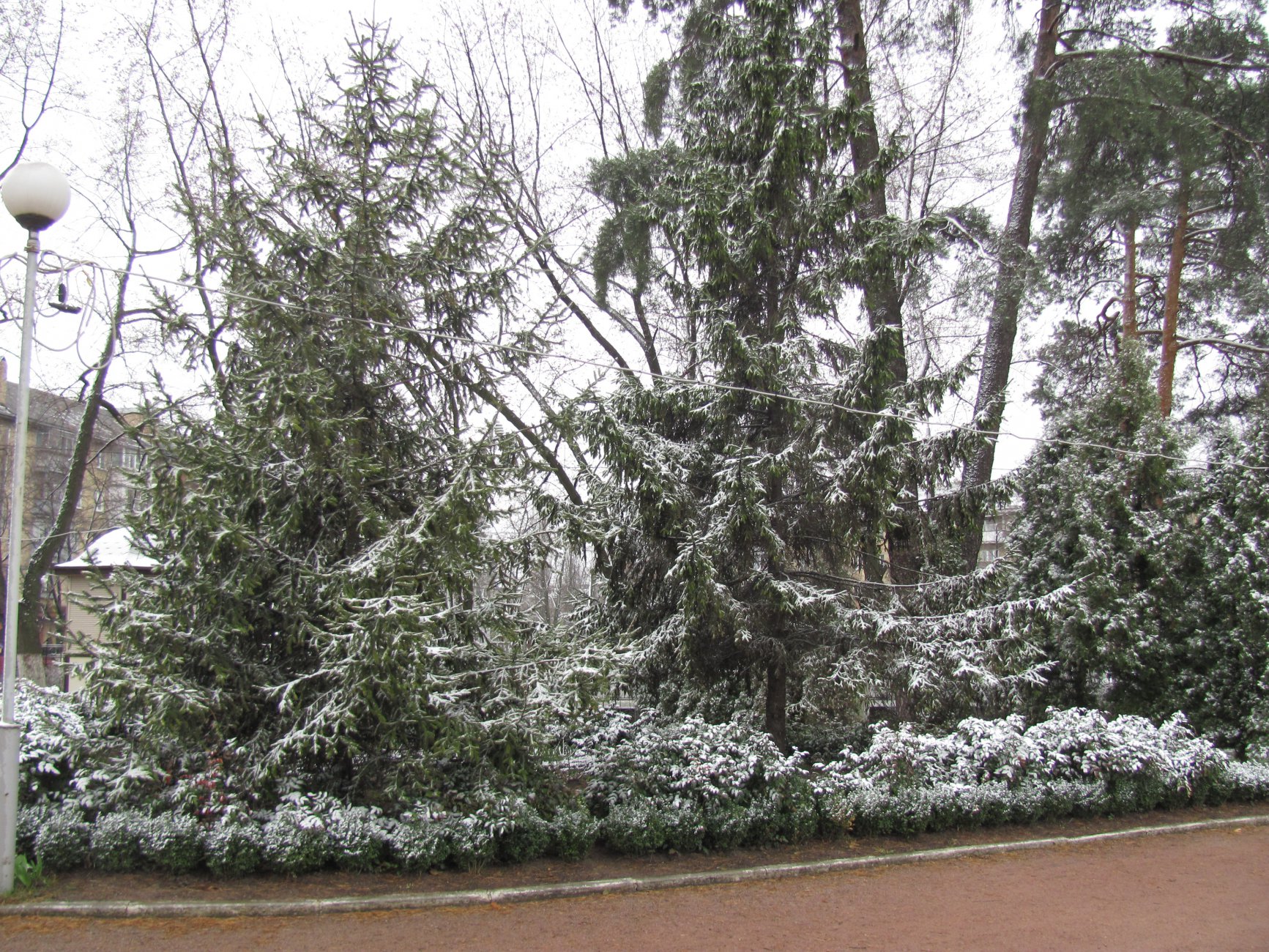 IMG_0012.JPG