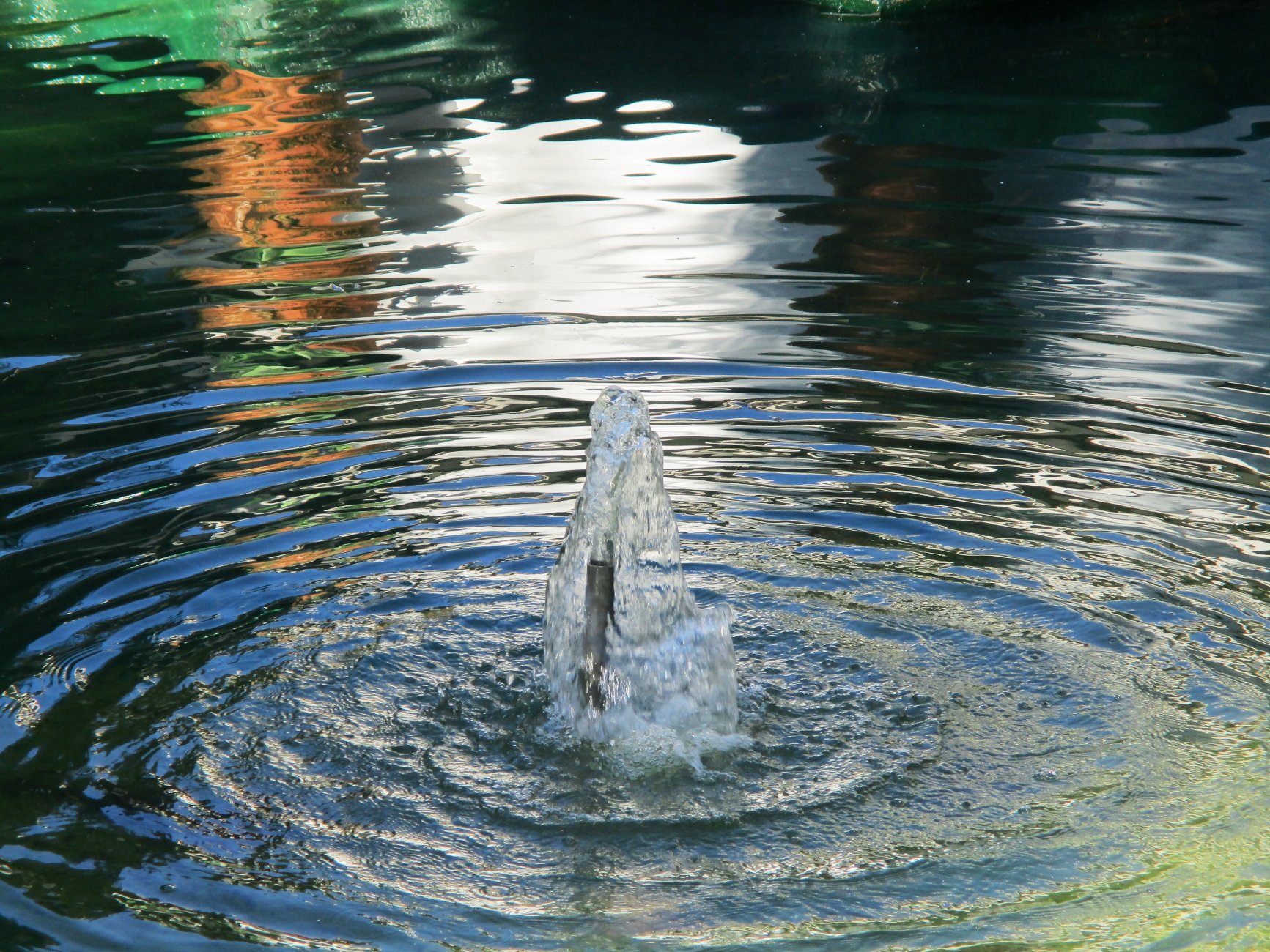 IMG_0447.JPG