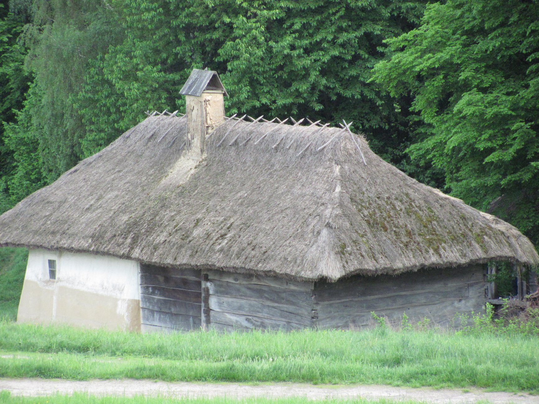 IMG_1545.JPG