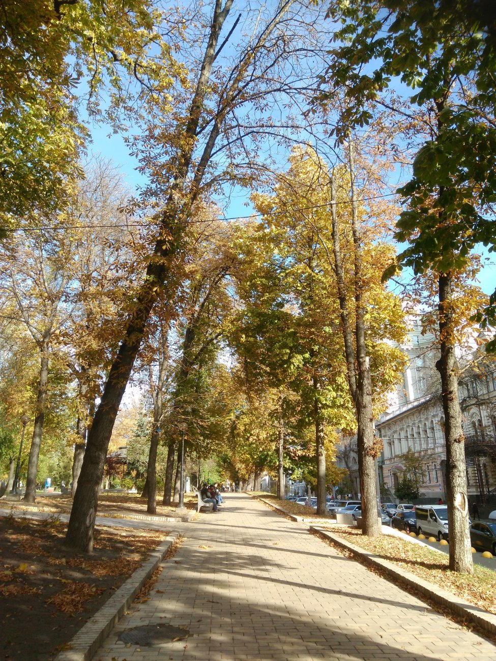 IMG_20161025_110300.jpg