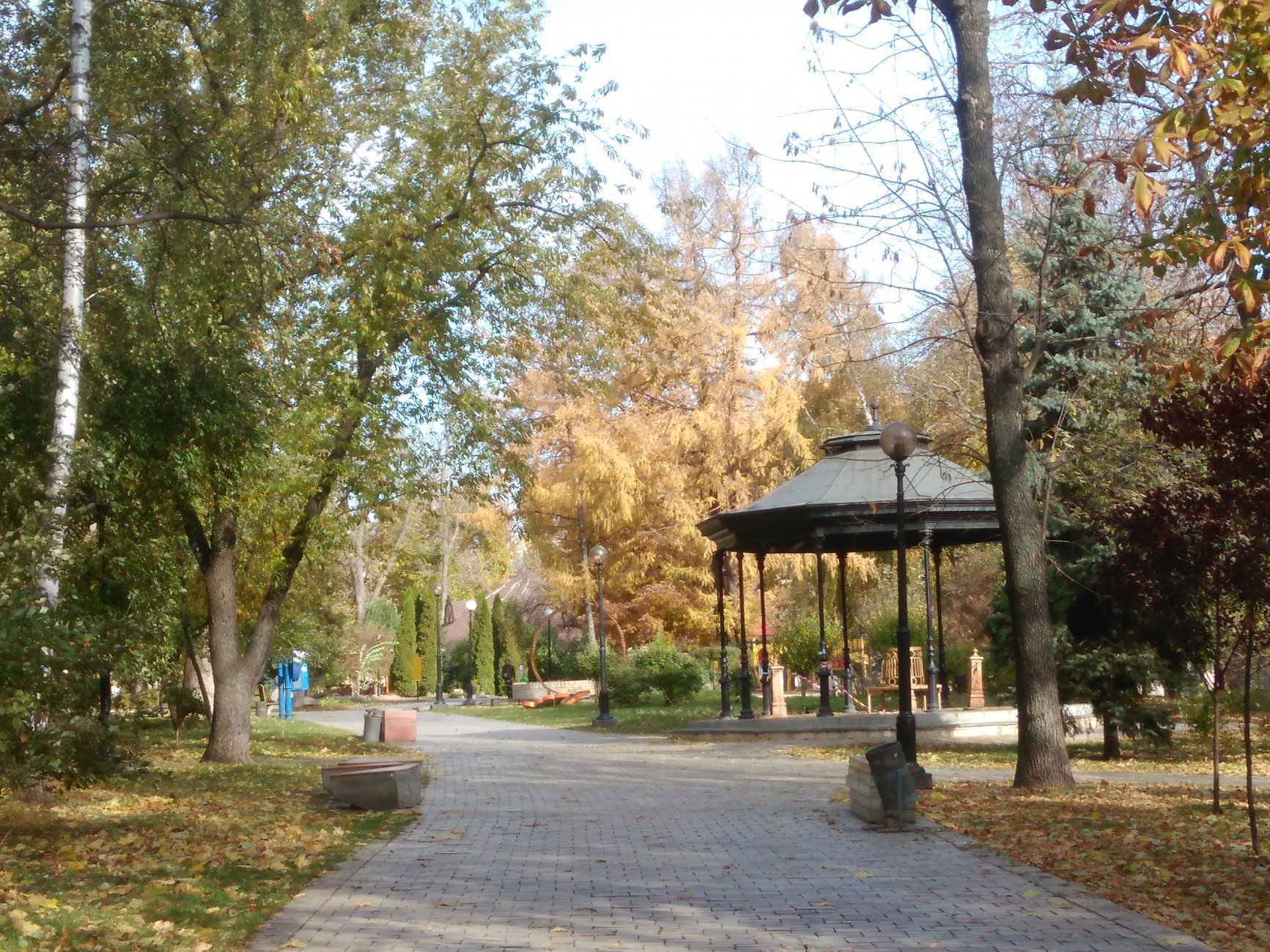 IMG_20161025_110420.jpg