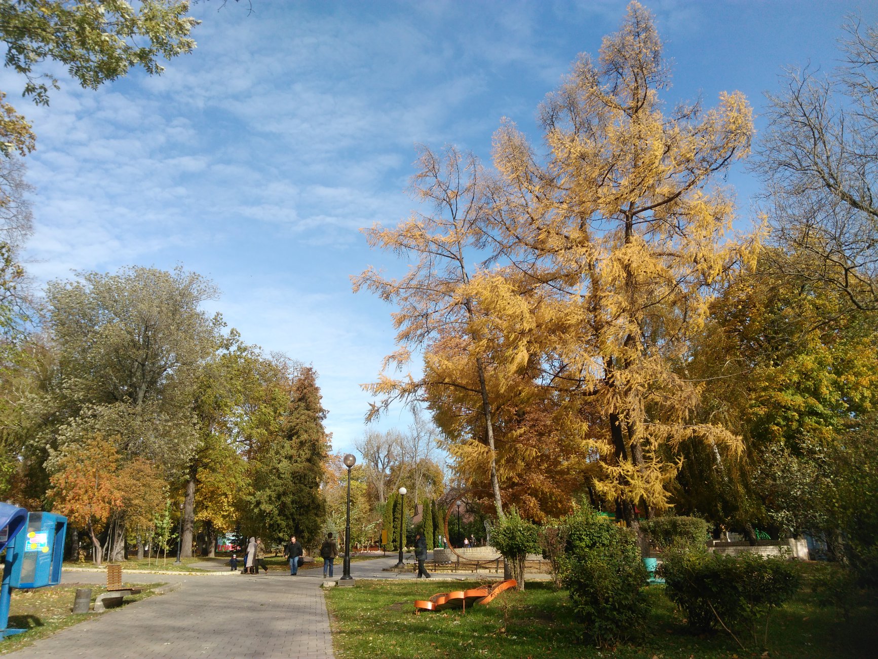 IMG_20161025_110723.jpg