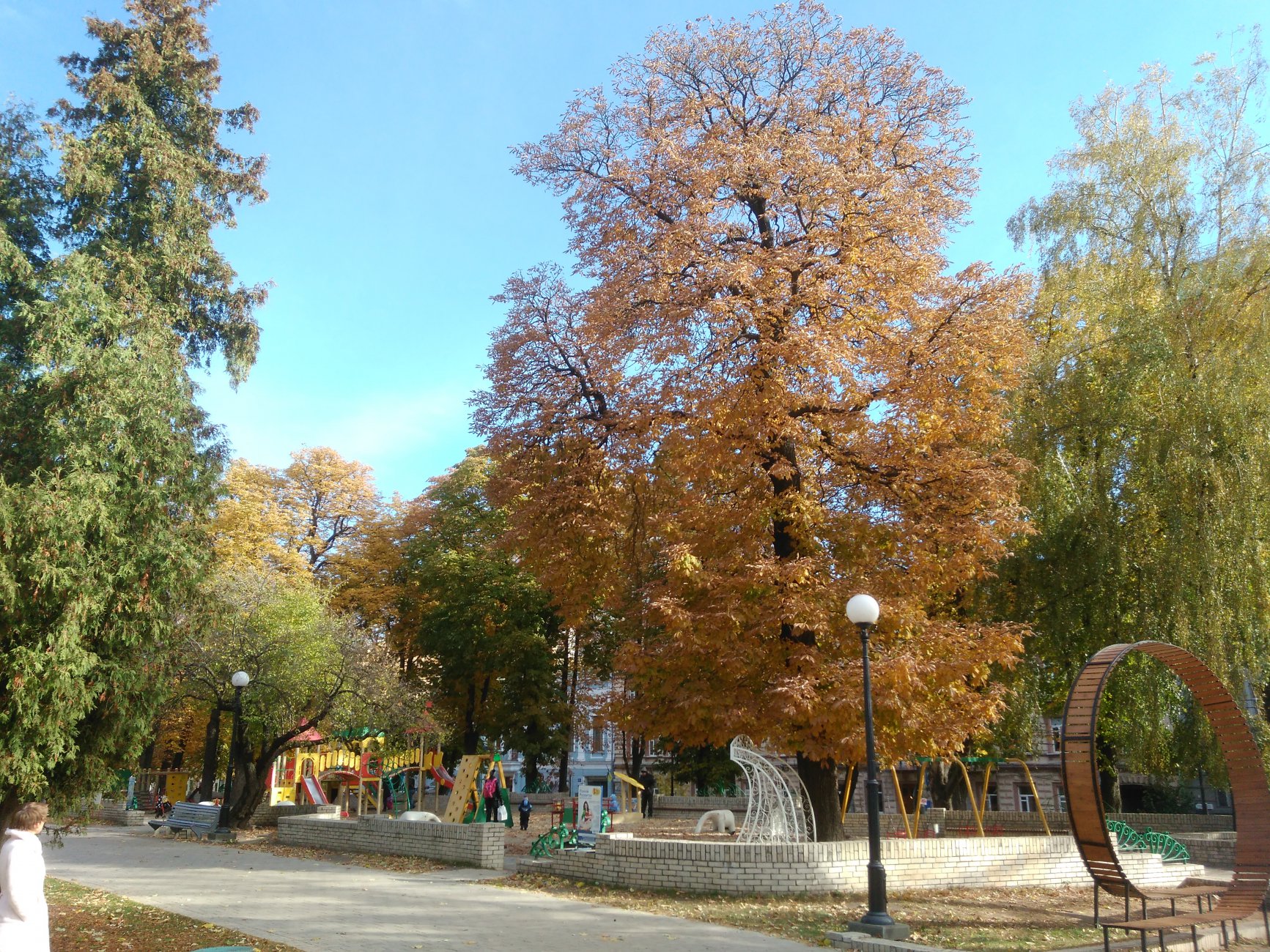 IMG_20161025_110818.jpg
