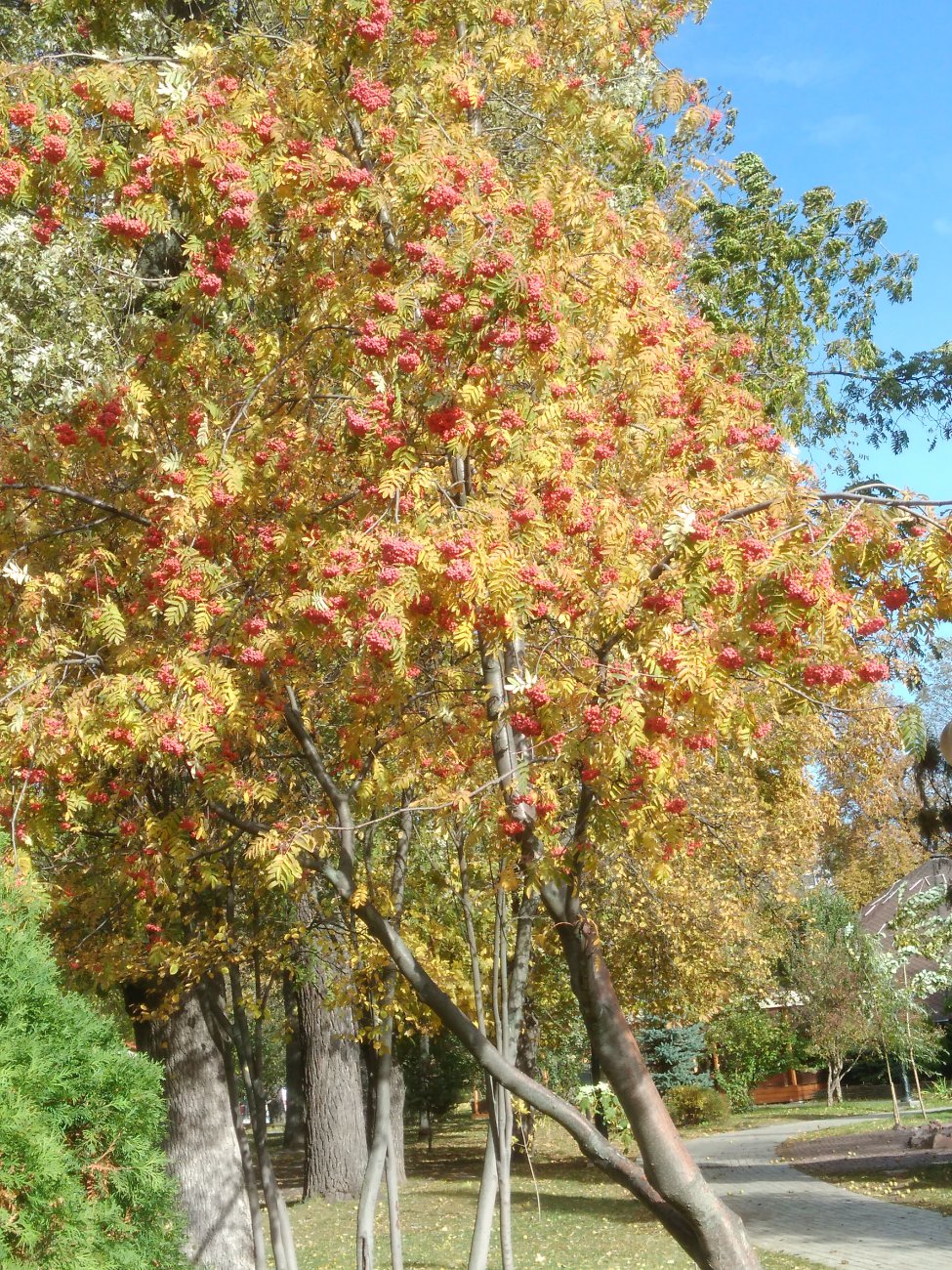 IMG_20161025_110834.jpg