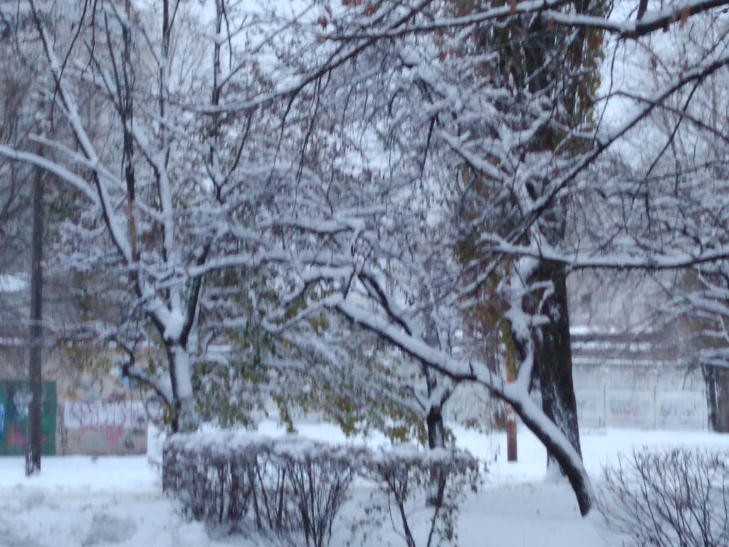 IMG_20161114_072608.jpg