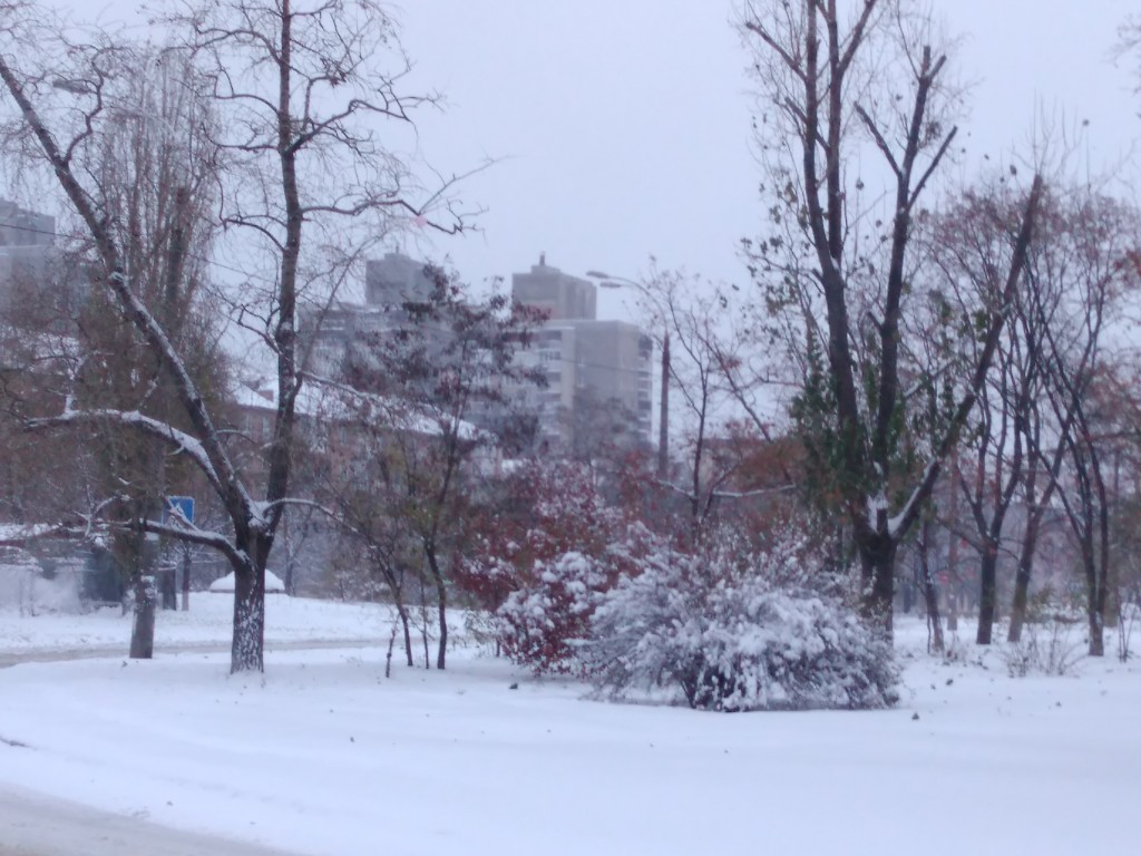 IMG_20161114_072853.jpg