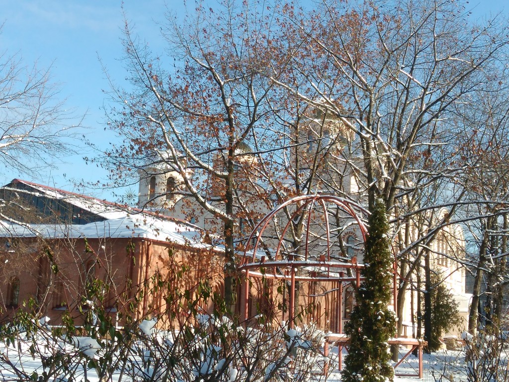 IMG_20161203_105047.jpg