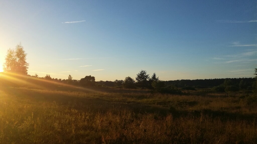 IMG_20180625_202059-1024x575.jpg