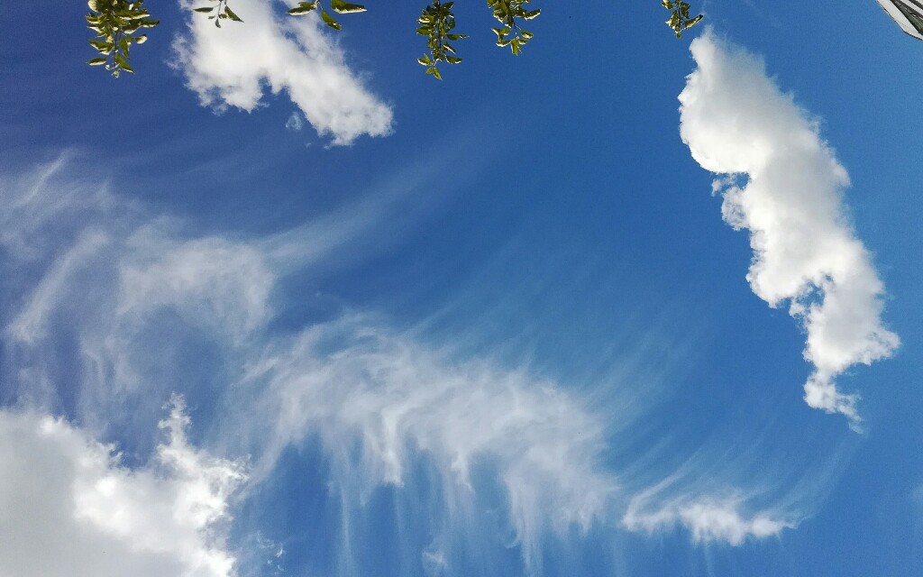 IMG_20180627_145549-1024x640.jpg