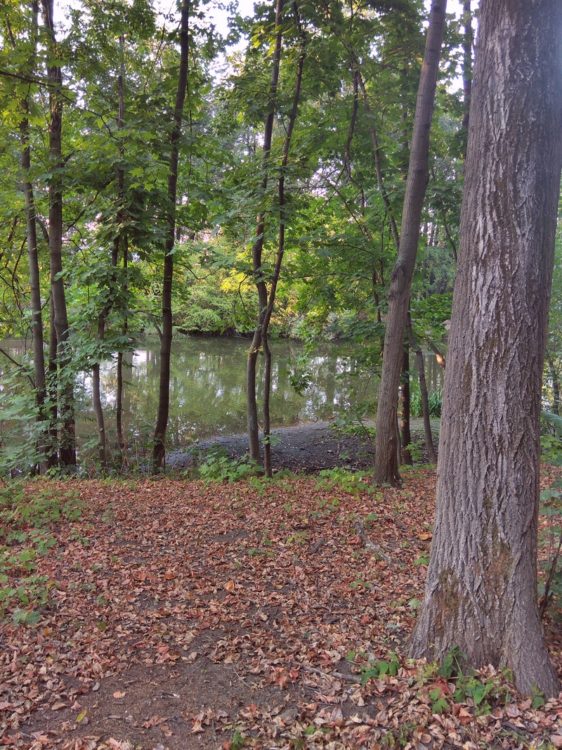 IMG_20180915_172504---.jpg