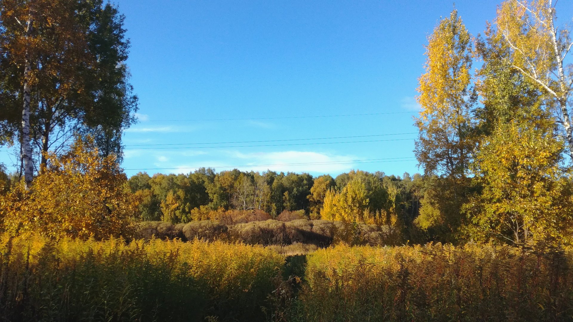 IMG_20181008_171921.jpg