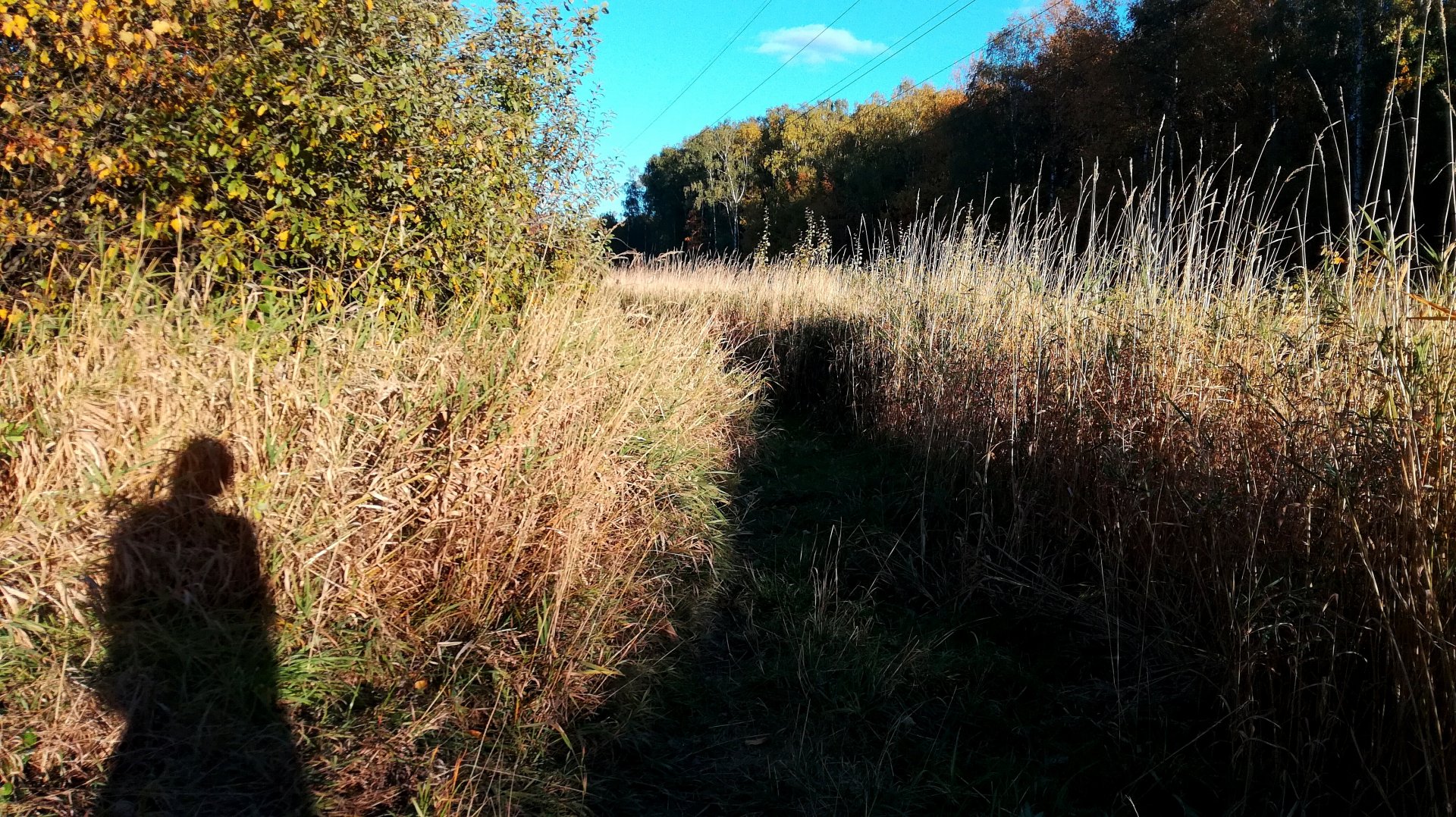 IMG_20181008_172602.jpg