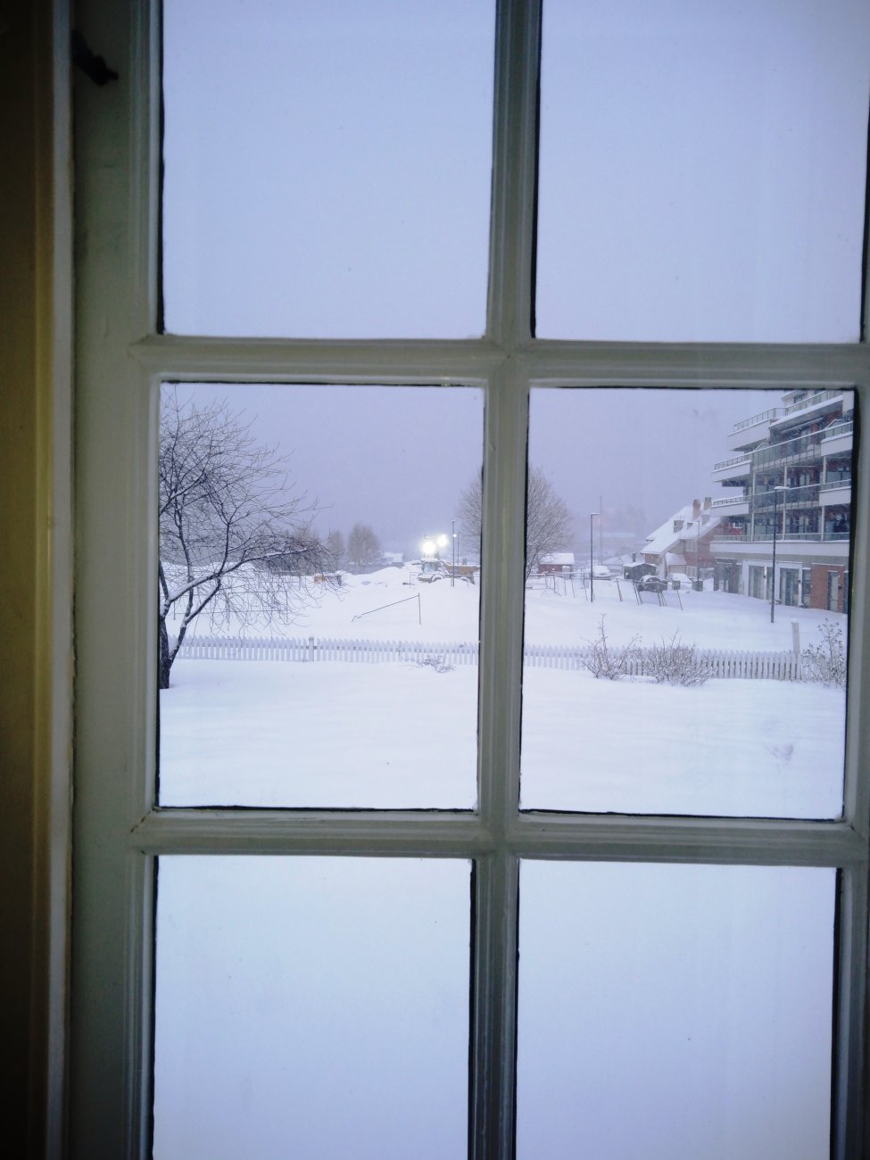 IMG_20190201_152013.jpg