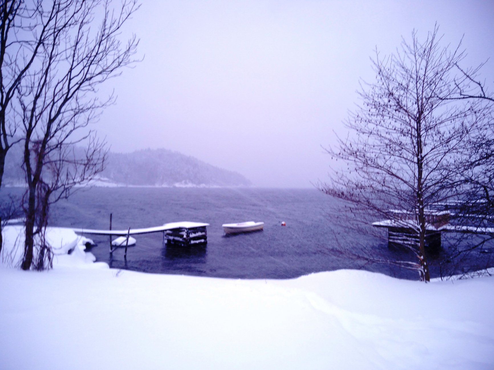 IMG_20190201_154041.jpg