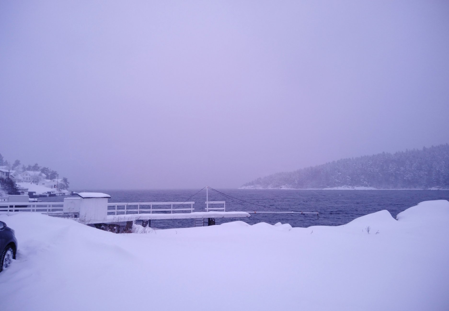 IMG_20190201_154150.jpg