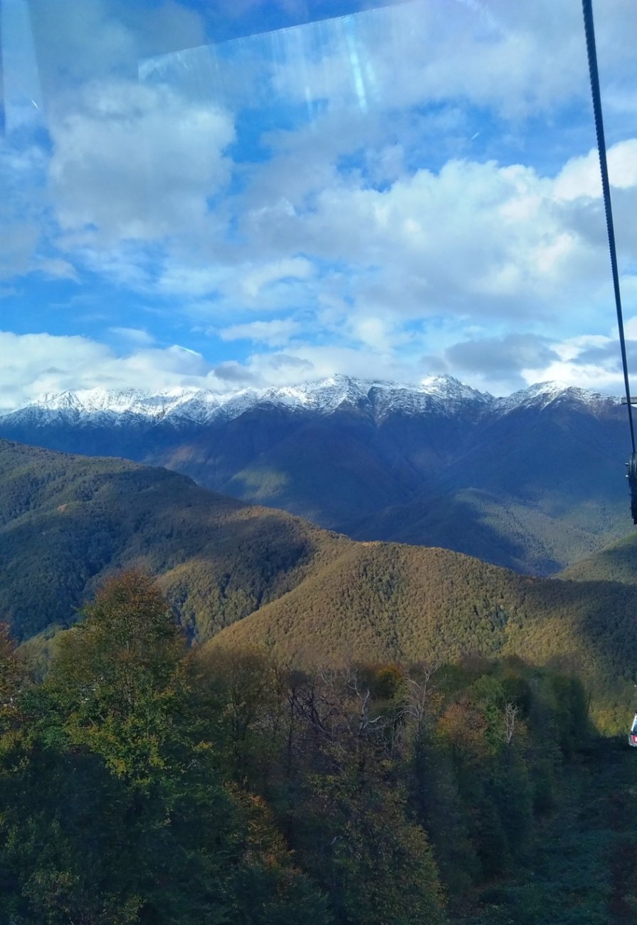 IMG_20201103_145946-01.jpeg