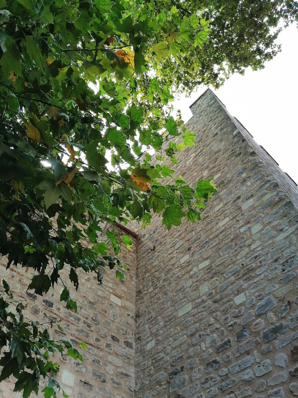 IMG_20220713_105858.jpg