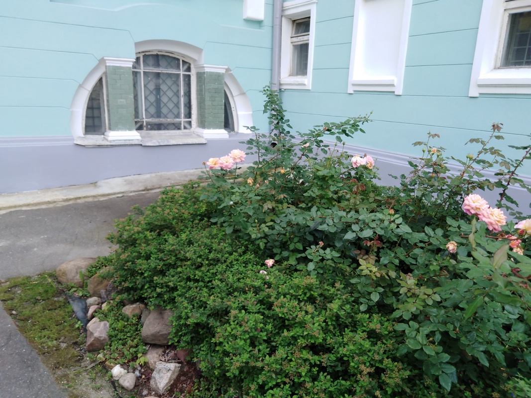 IMG_20240822_154123.jpg
