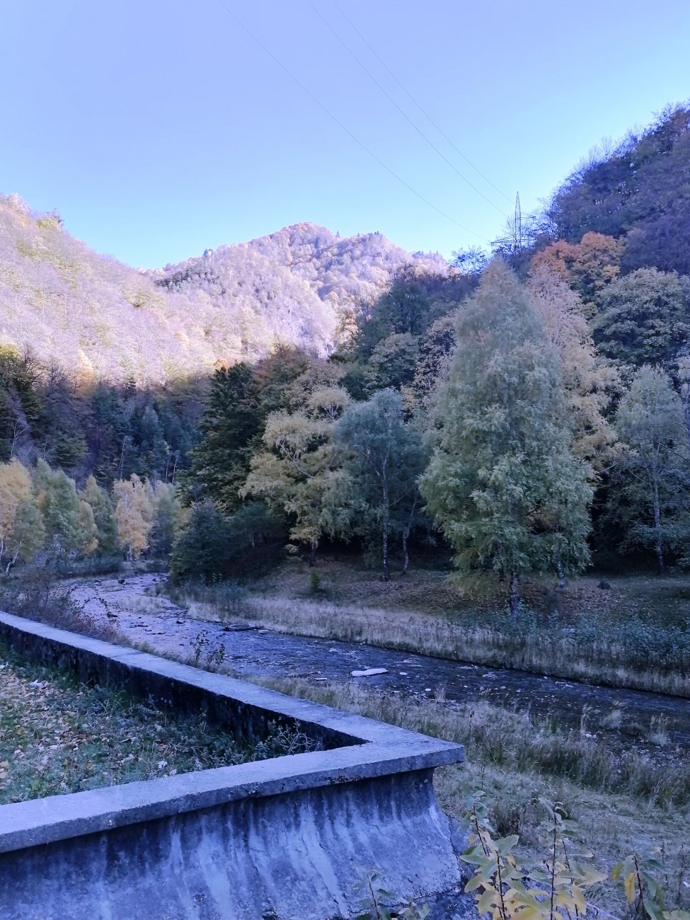 IMG_20241026_105029.jpg