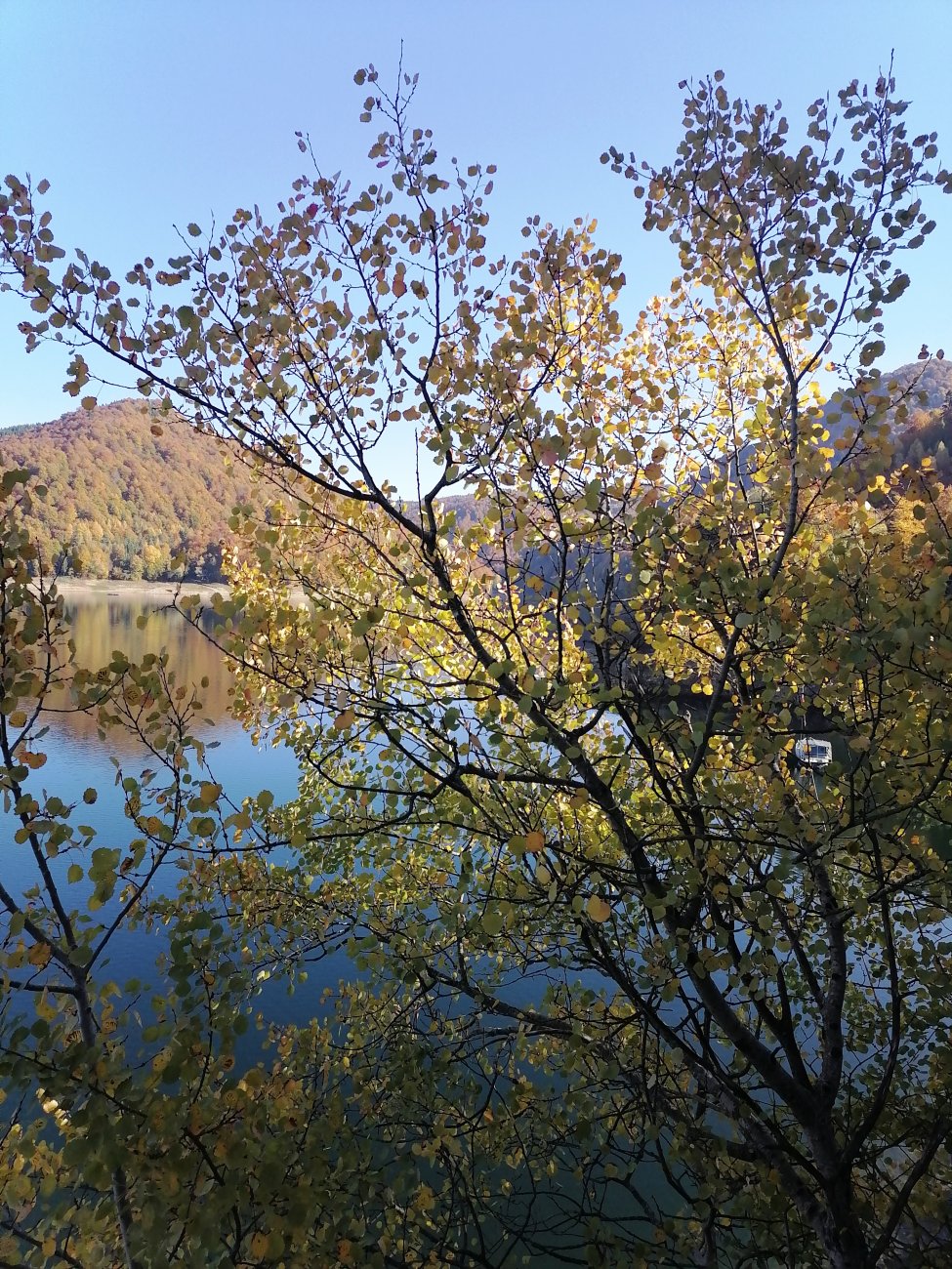 IMG_20241026_113054.jpg