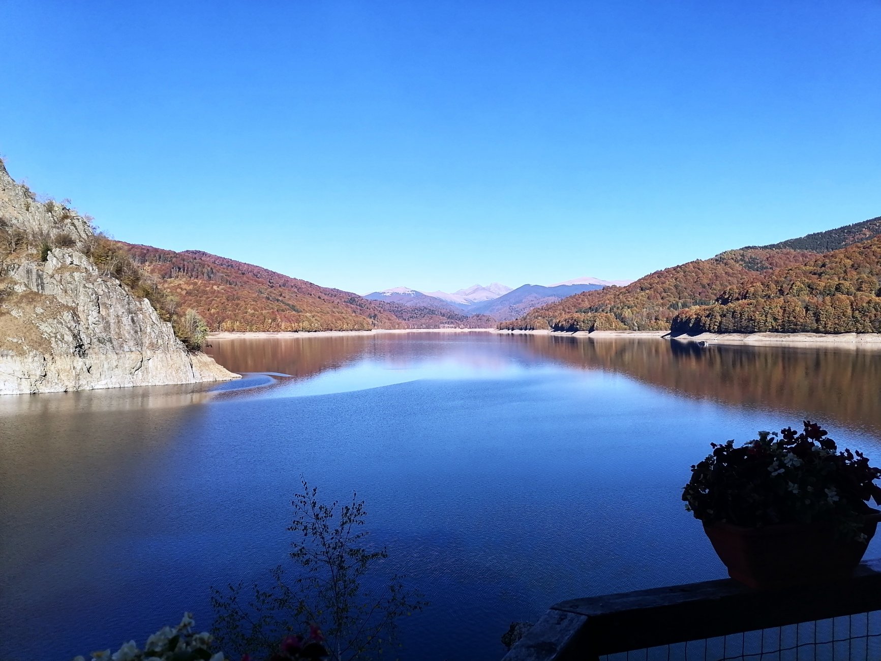 IMG_20241026_113213.jpg