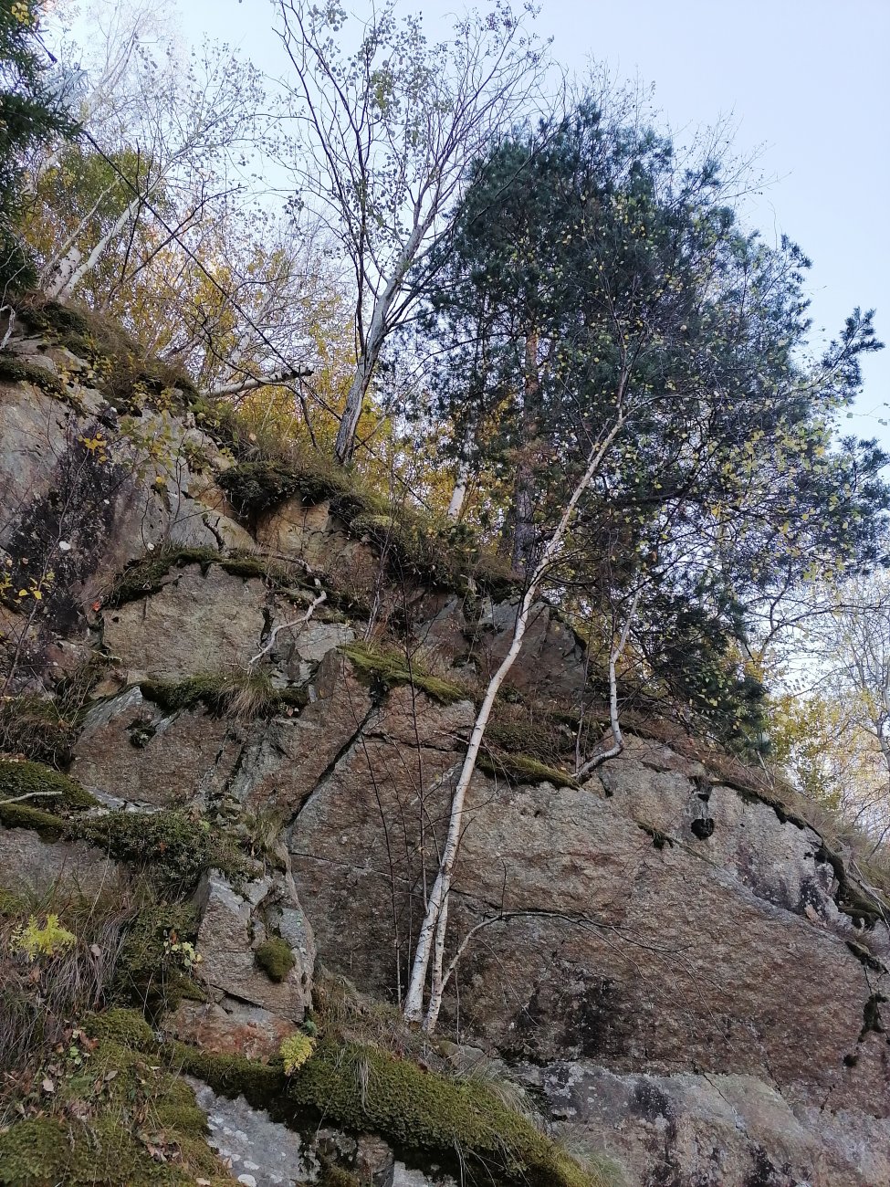 IMG_20241026_113724.jpg