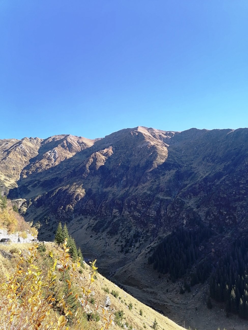 IMG_20241026_150329.jpg