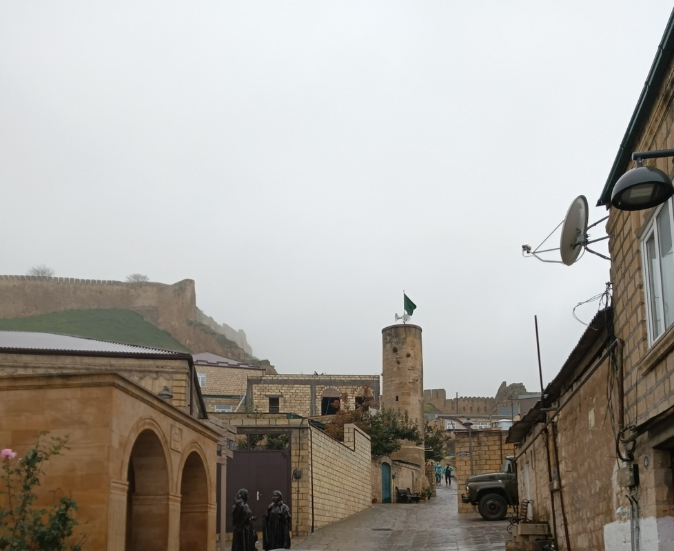 IMG_20251105_133500_926.jpg