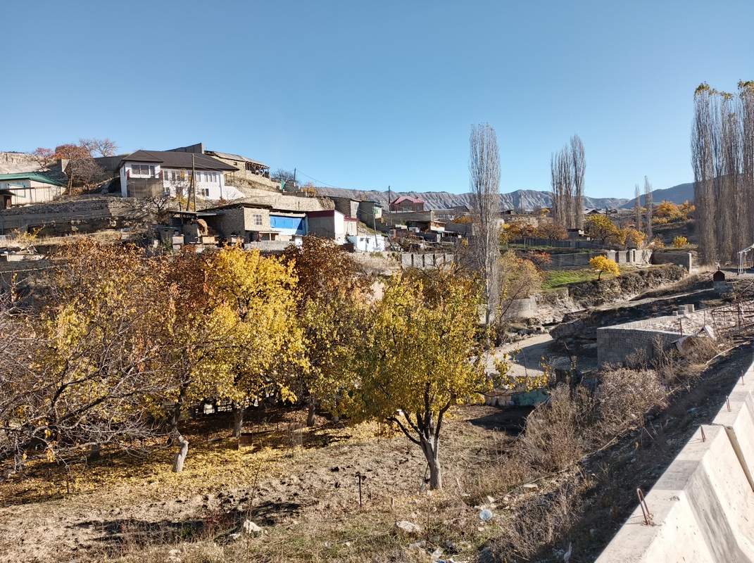 IMG_20251106_103613_201П.jpg