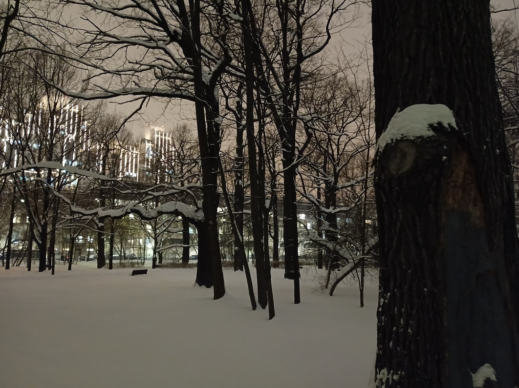 IMG_20260112_175424_050.jpg