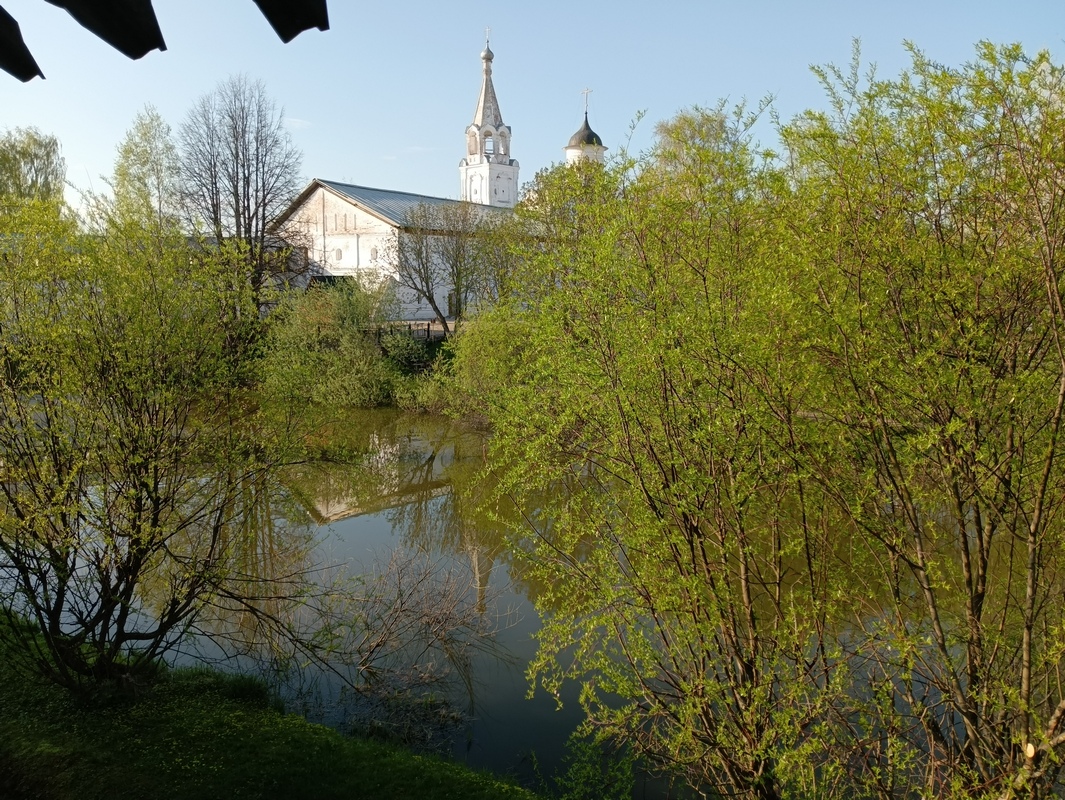IMG_20260514_174514_938.jpg