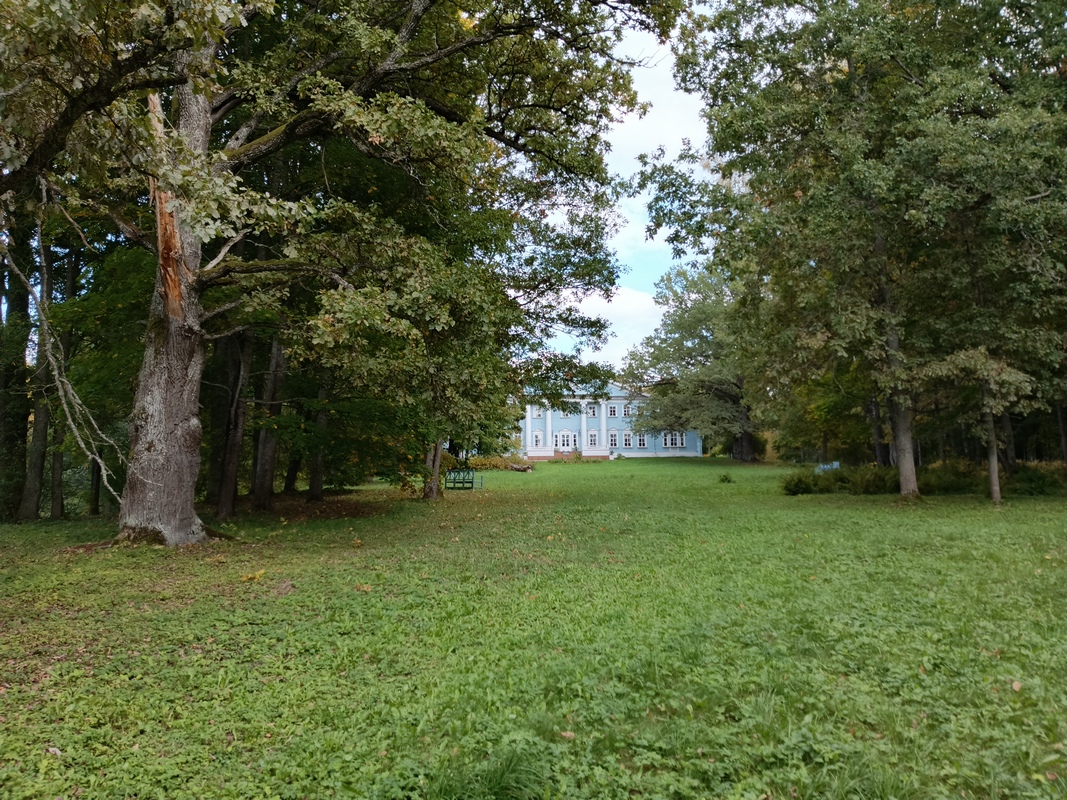 IMG_20260919_162127_999.jpg