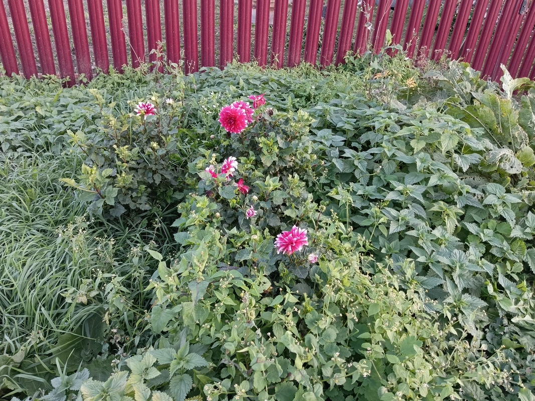 IMG_20260930_172019_024.jpg