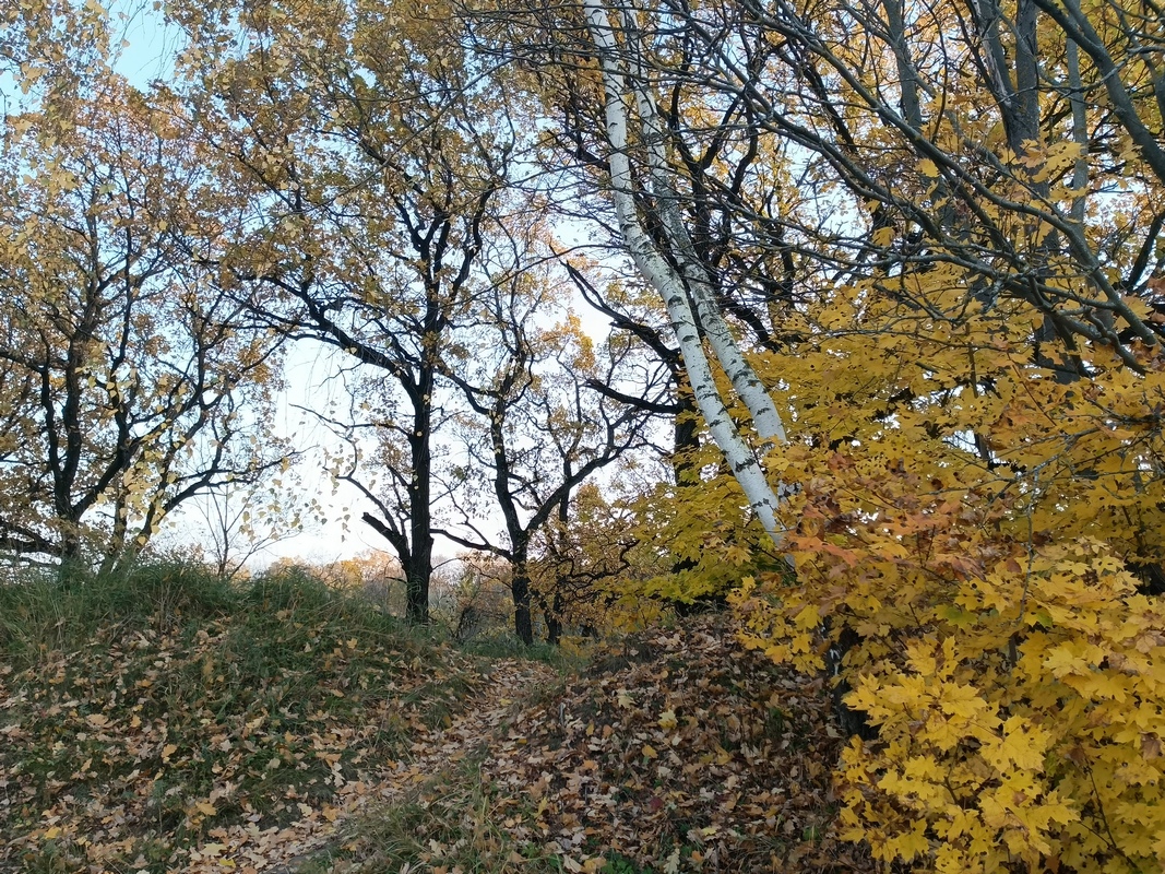 IMG_20261012_160645_296.jpg
