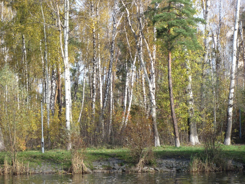 IMG_2332~1.jpg
