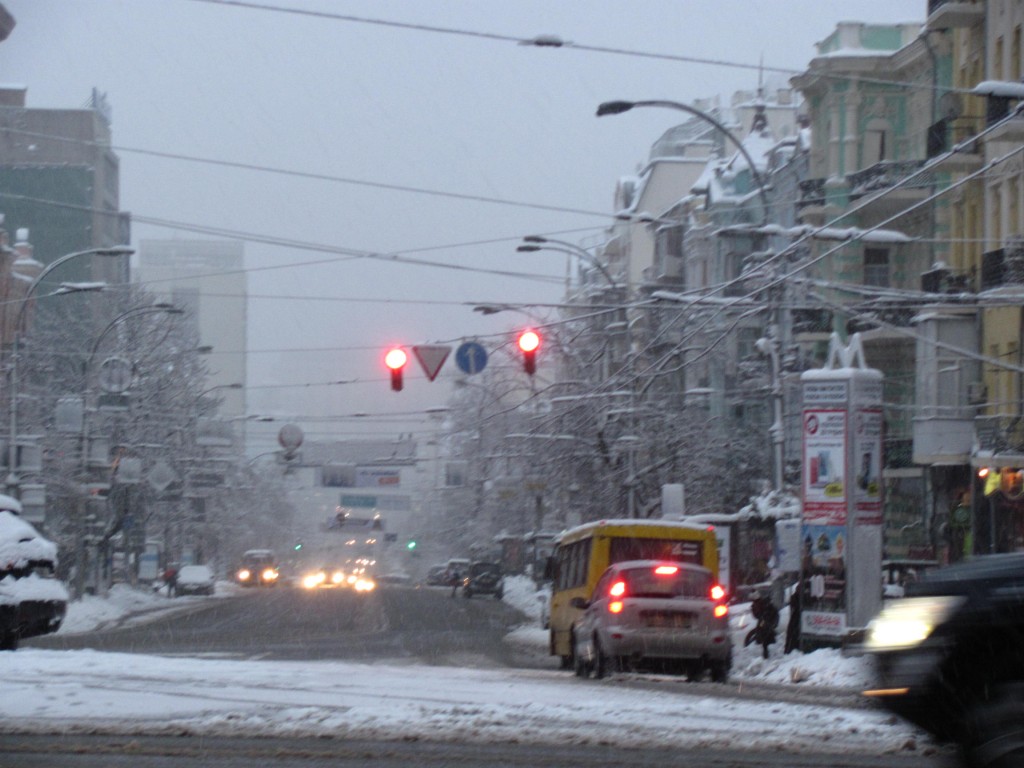 IMG_2419.jpg